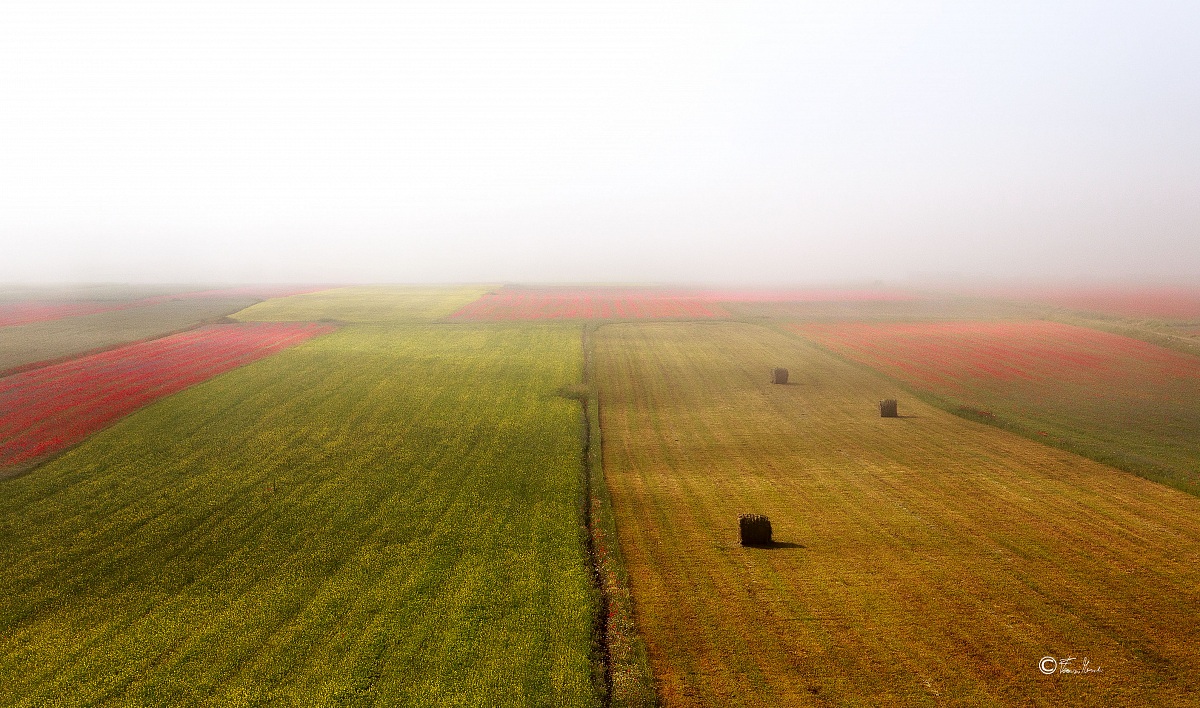 Castelluccio