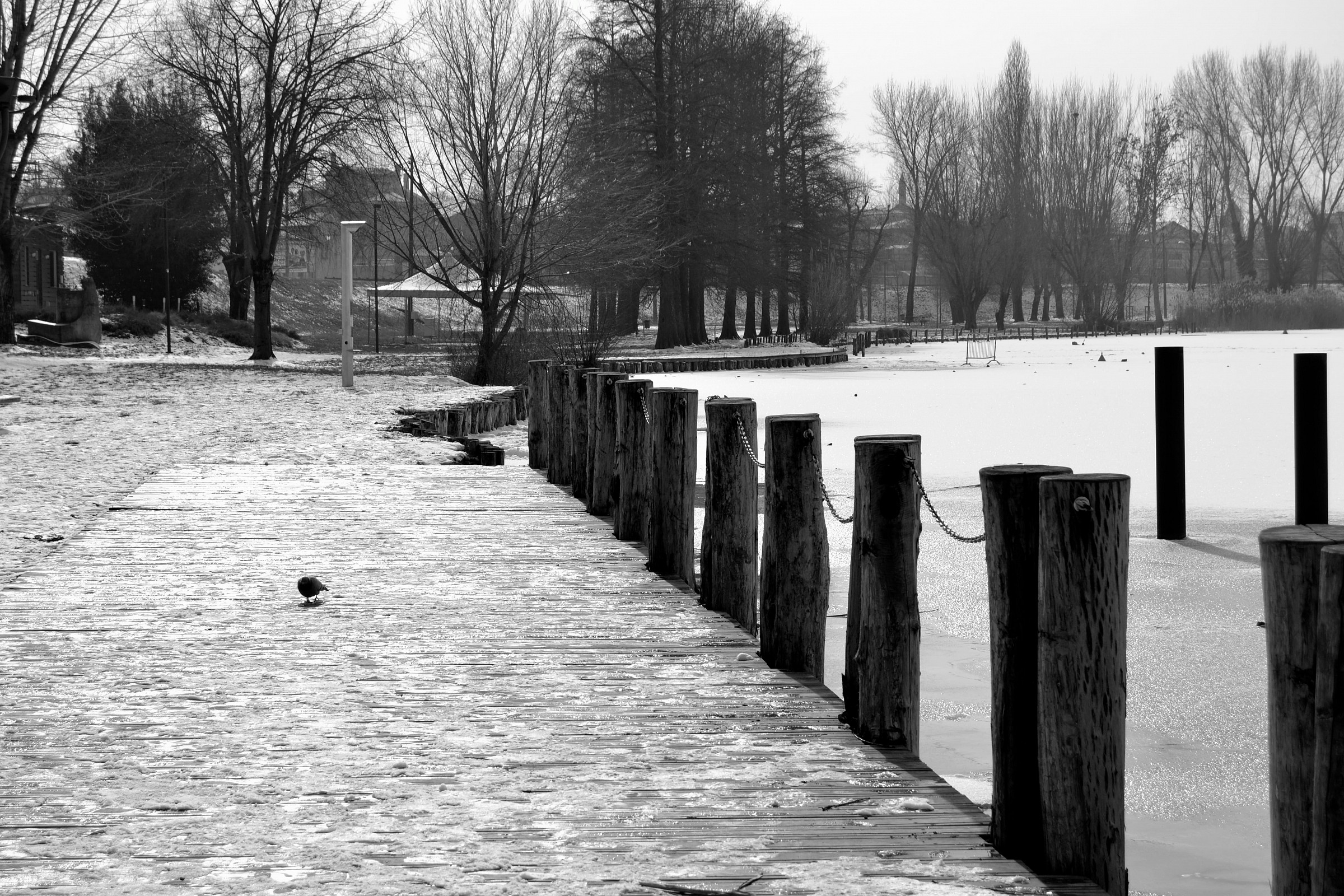 Paesaggio ghiacciato