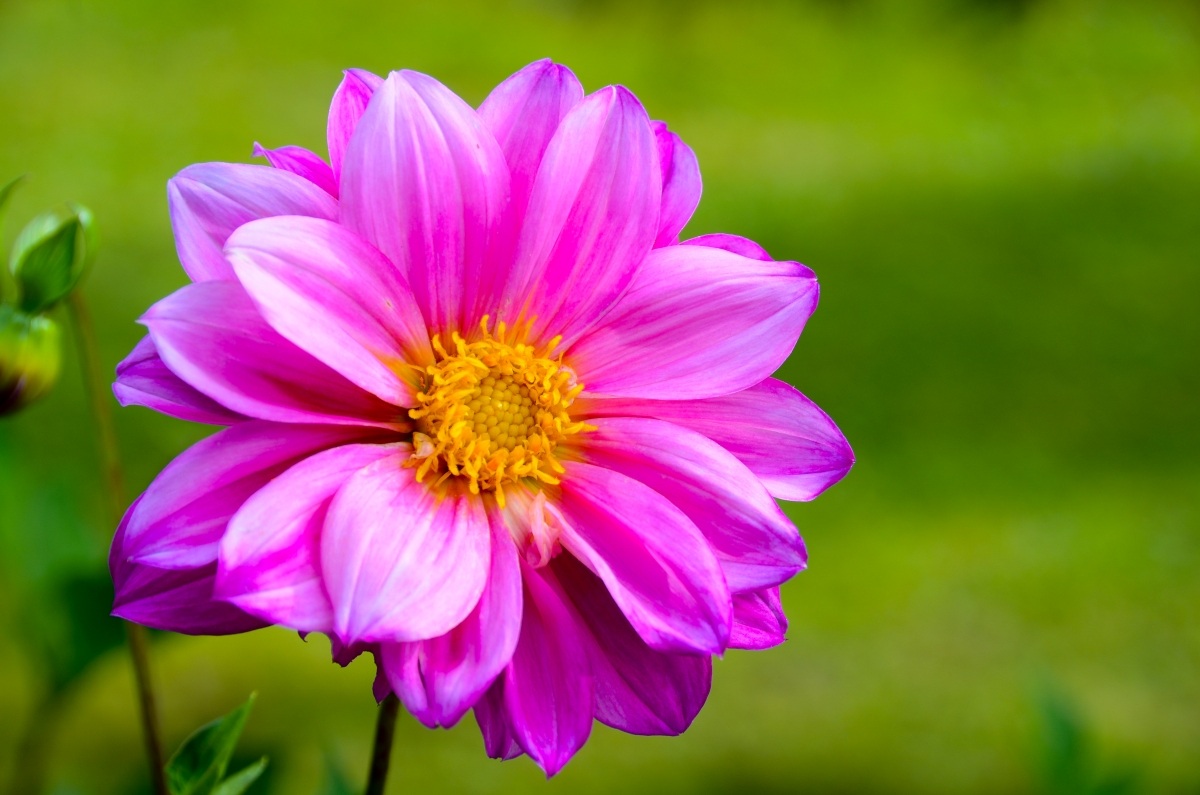 Semplicemente... macro!!!