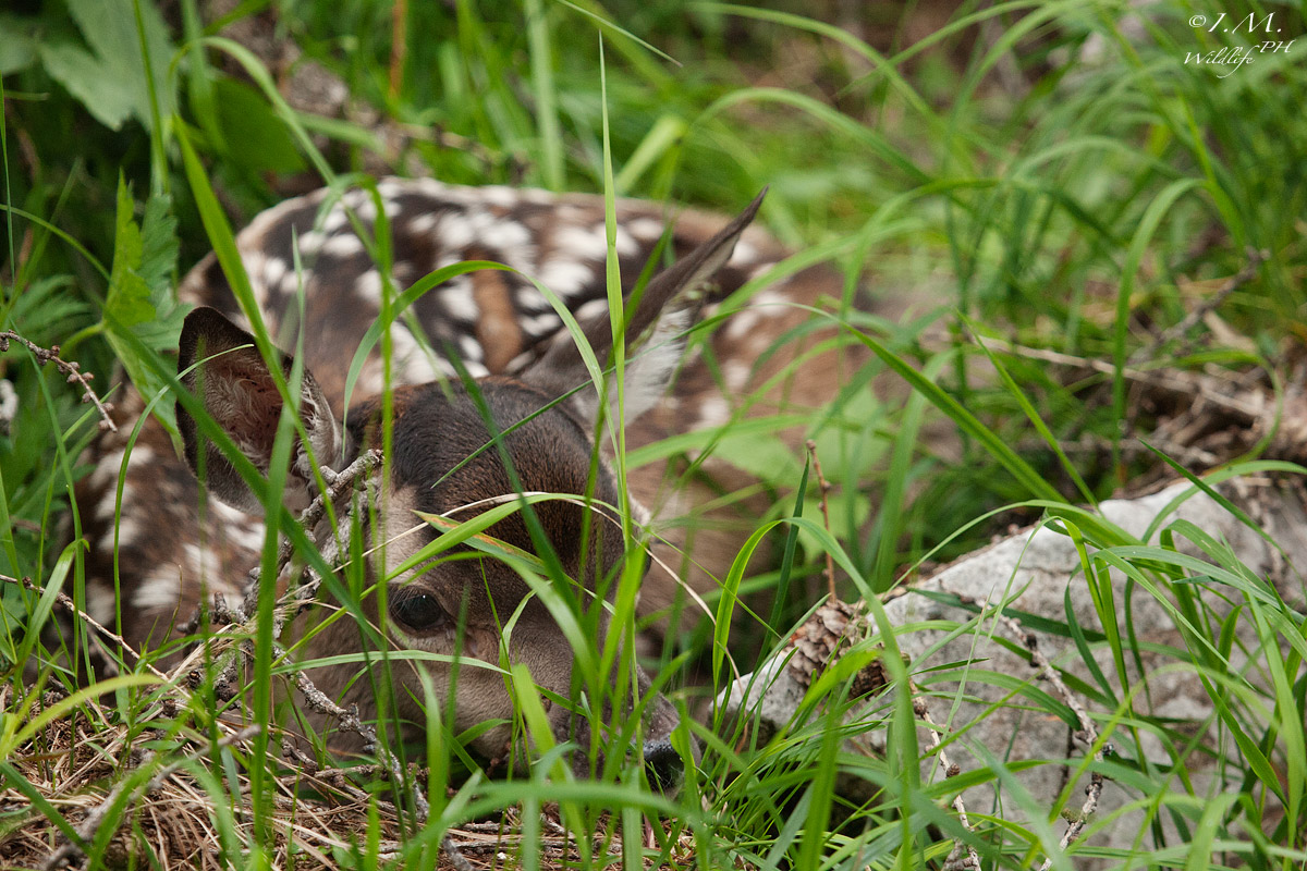 Welcome to the world