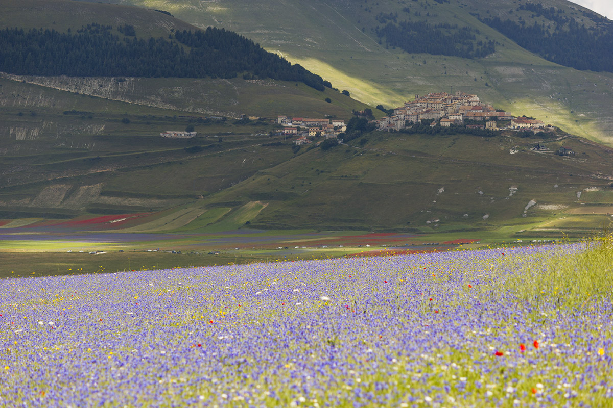 Castelluccio di Norcia (Umbria)
