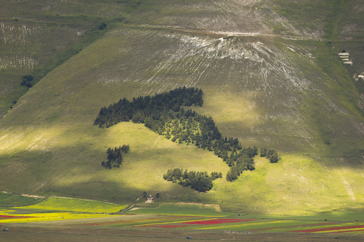 Castelluccio di Norcia (Umbria)