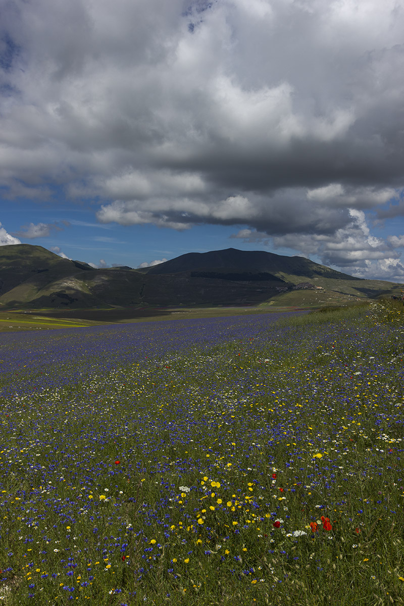 Castelluccio di Norcia (Umbria)