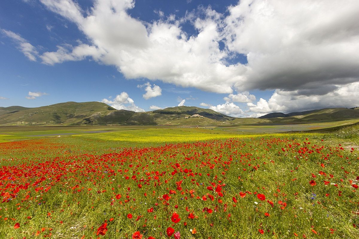 Castelluccio di Norcia (Umbria)