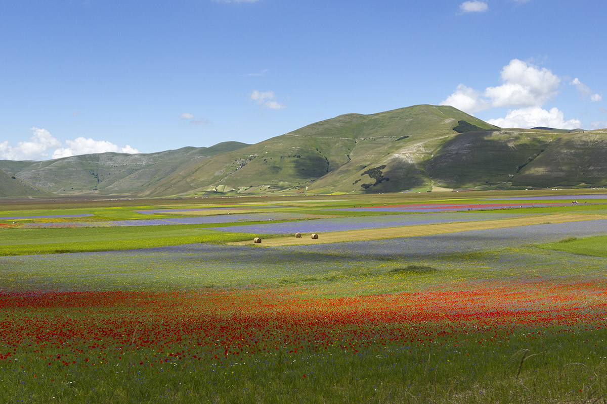 Castelluccio di Norcia (Umbria)