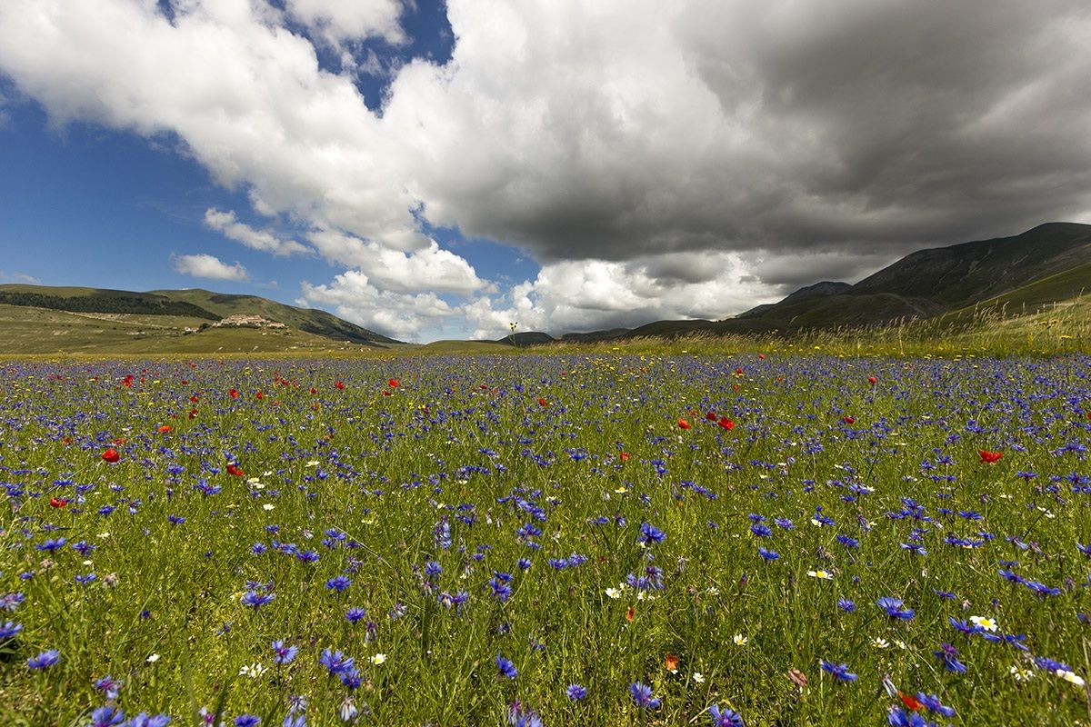 Castelluccio di Norcia (Umbria)