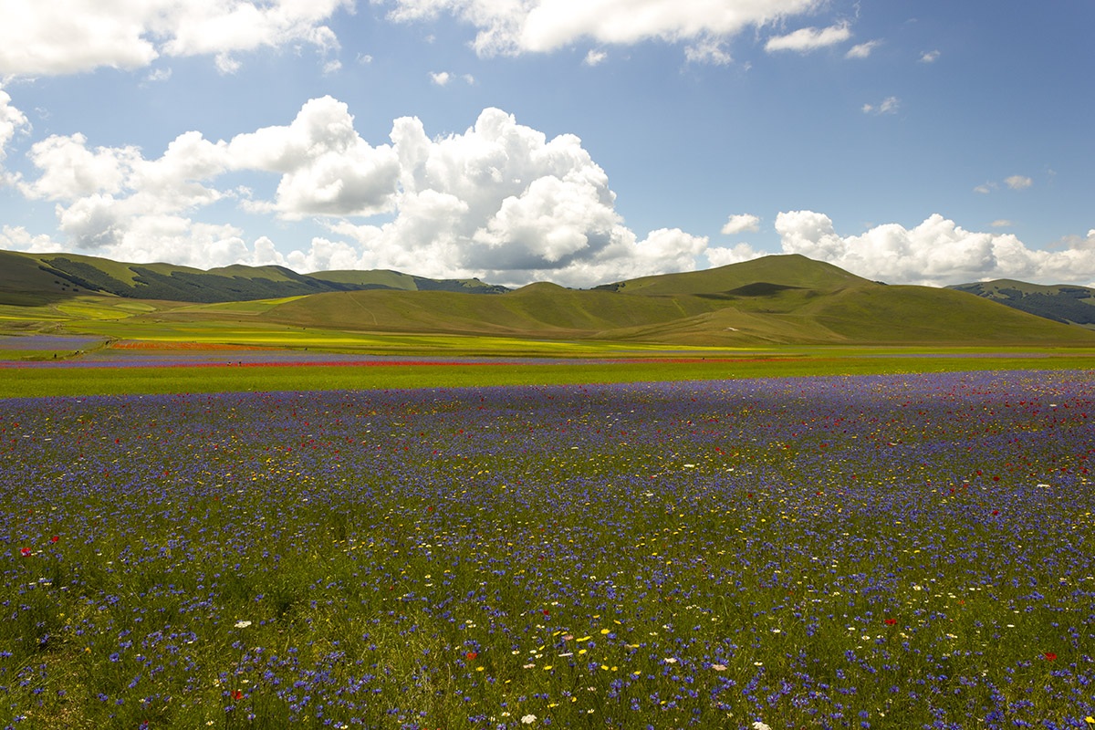 Castelluccio di Norcia (Umbria)