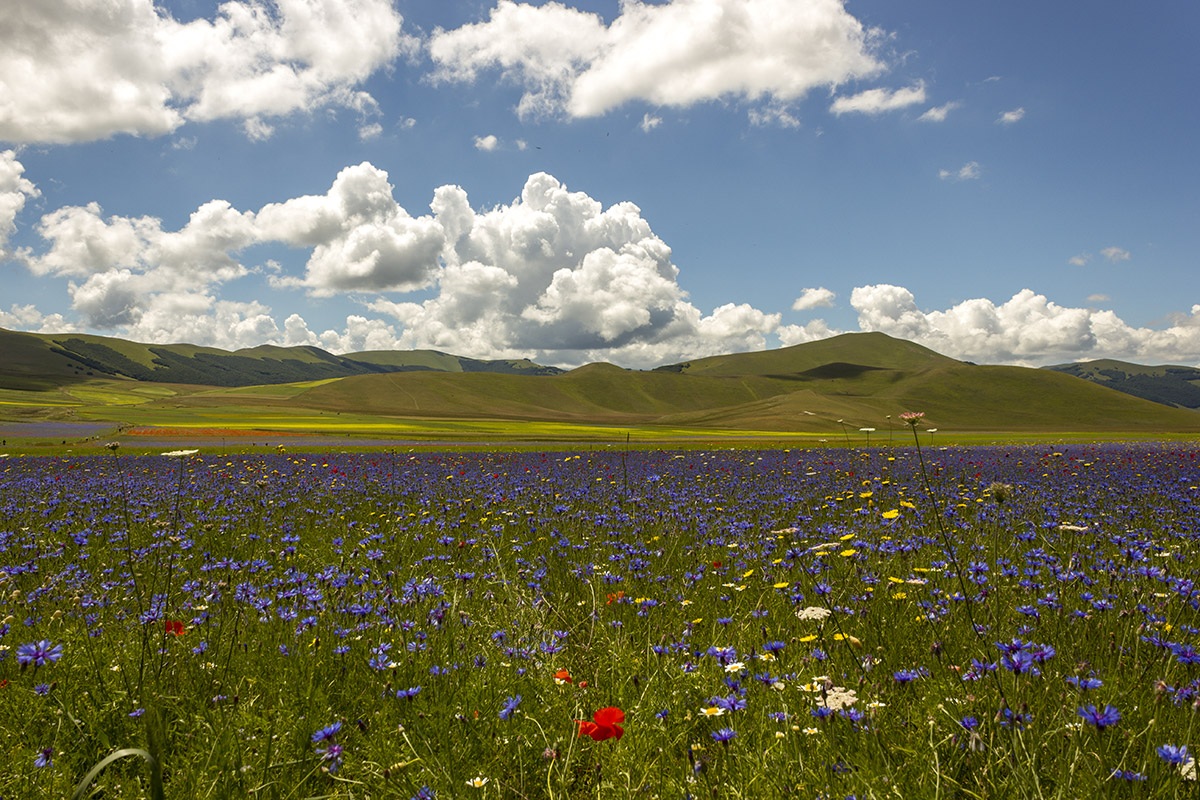 Castelluccio di Norcia (Umbria)