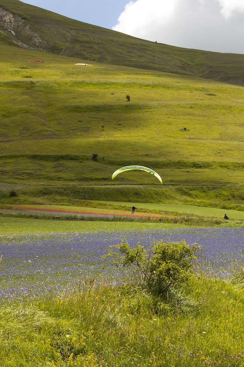 Castelluccio di Norcia (Umbria)