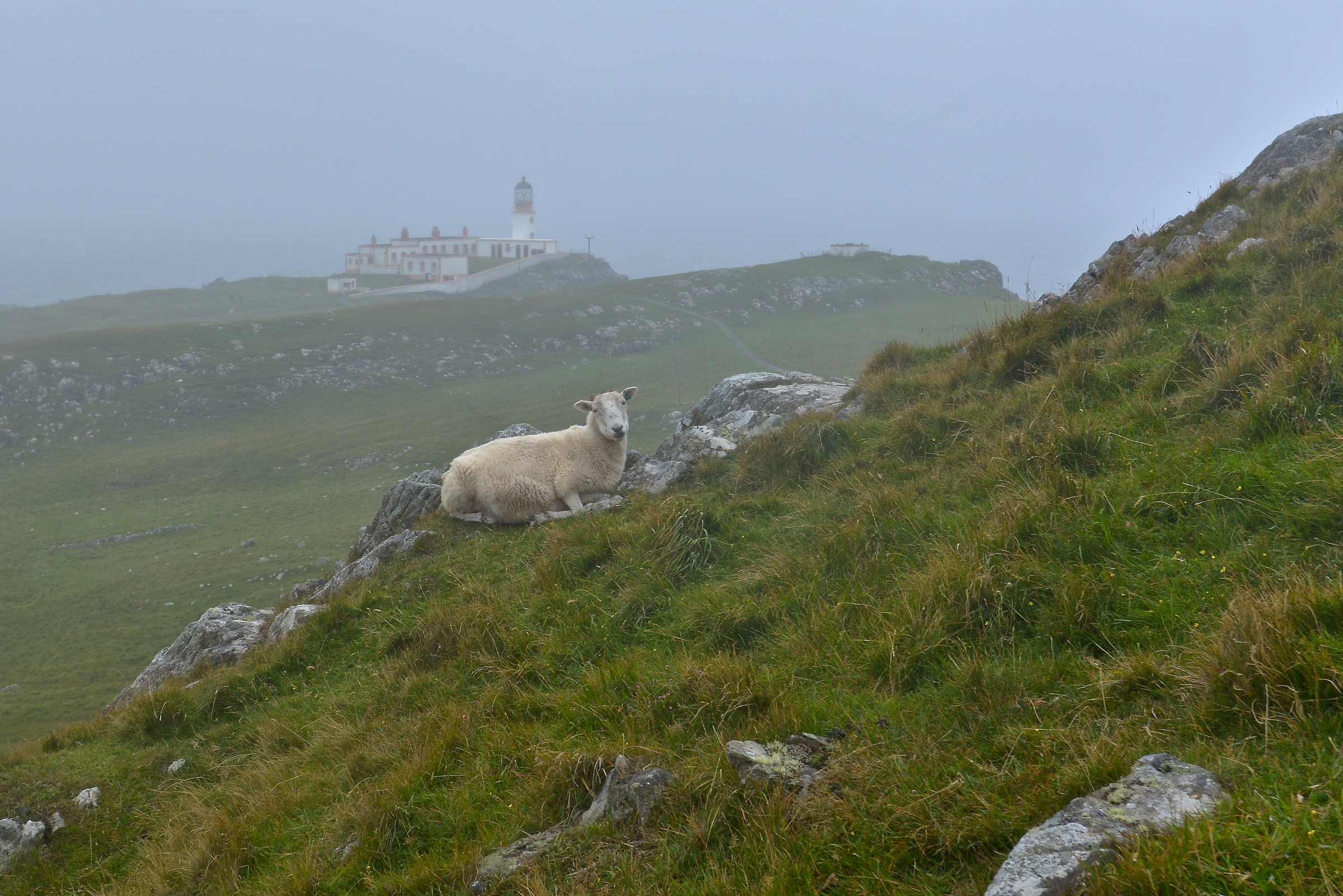 Nest Point Lighthouse