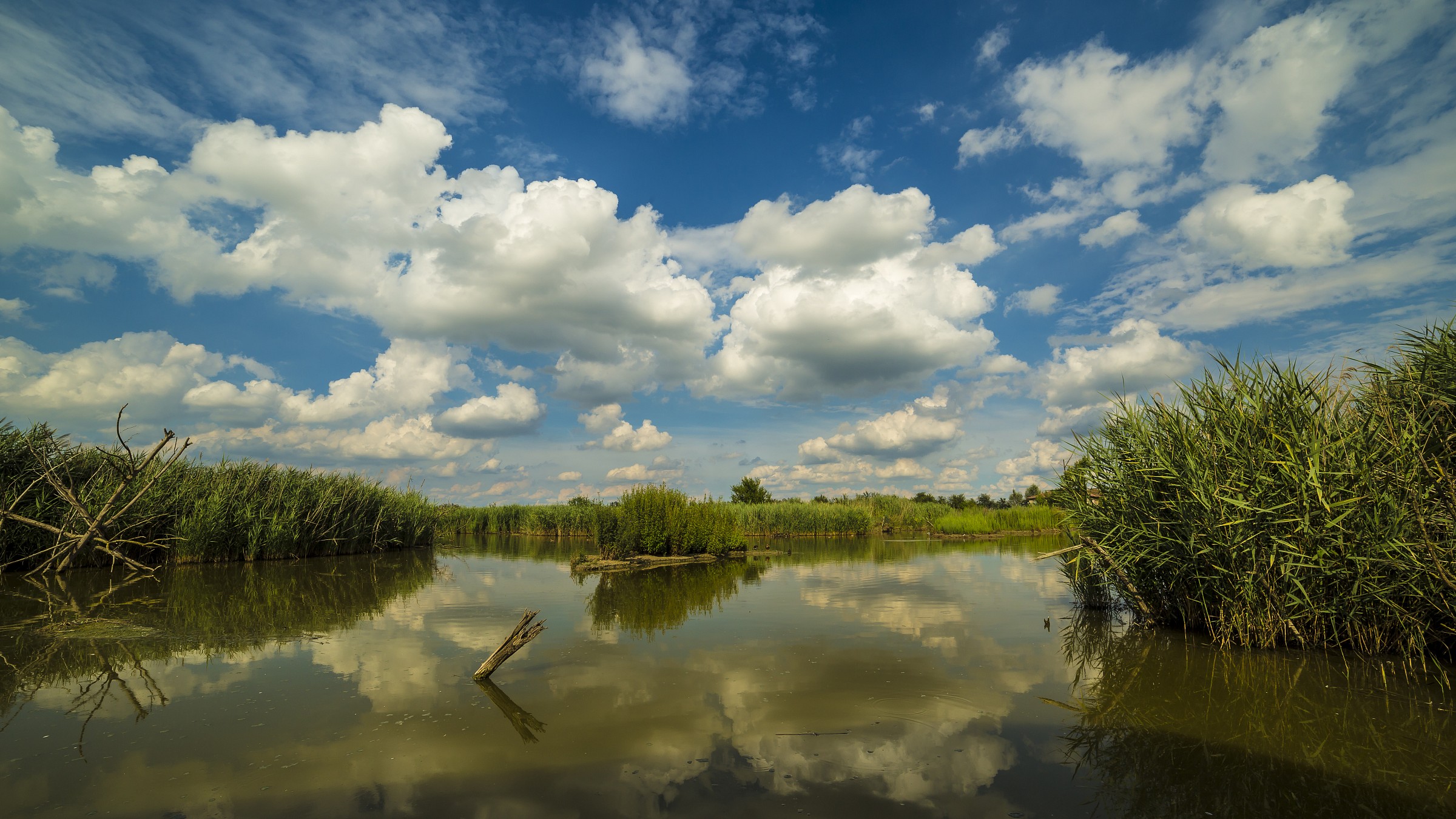 veduta dell'oasi di Manzolino