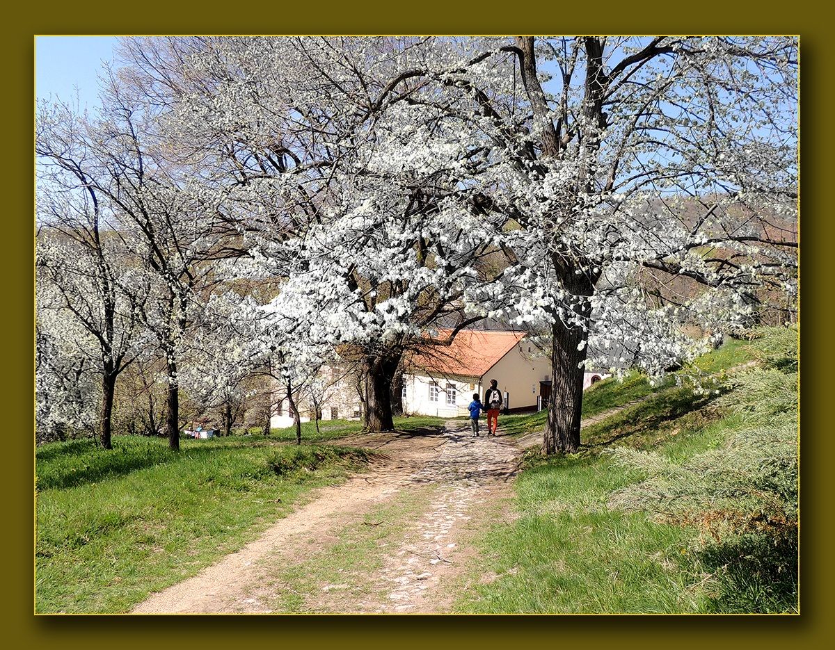 Pasqua a Fruska Gora..