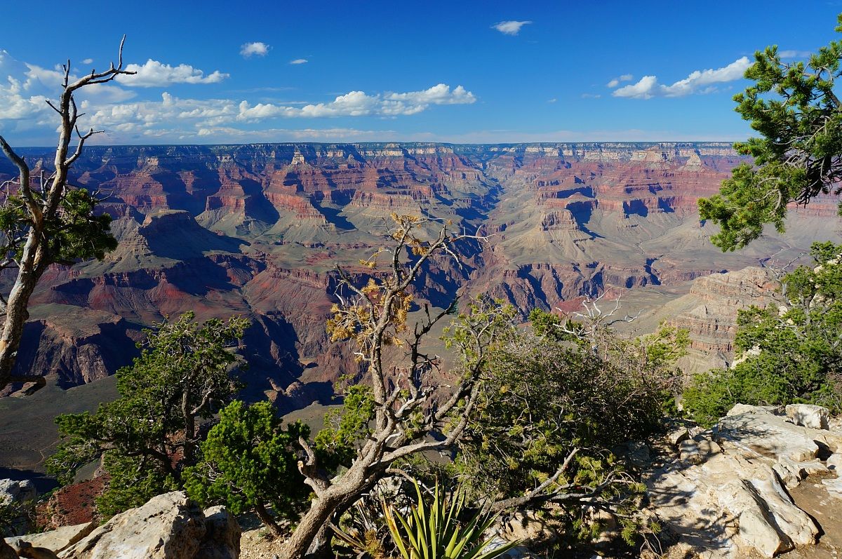 Protesi all'infinito