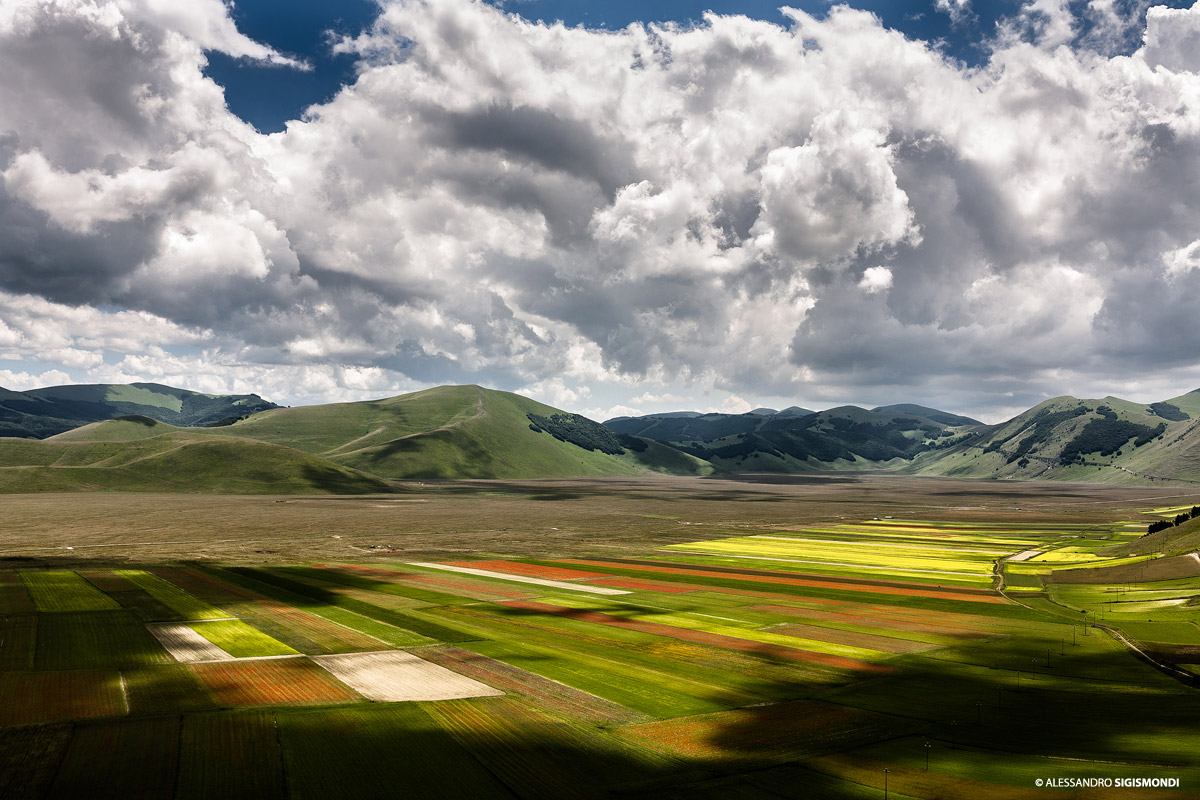 Pian Grande - fioritura