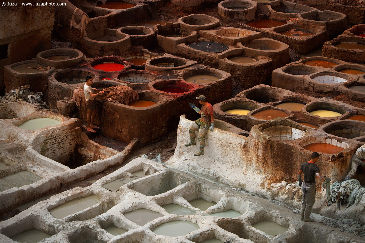 Conciatura della pelle, 013585