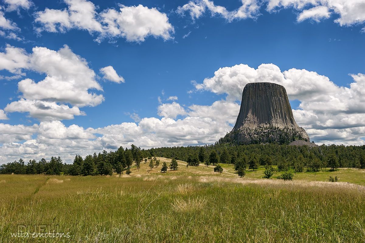 Devil's Tower