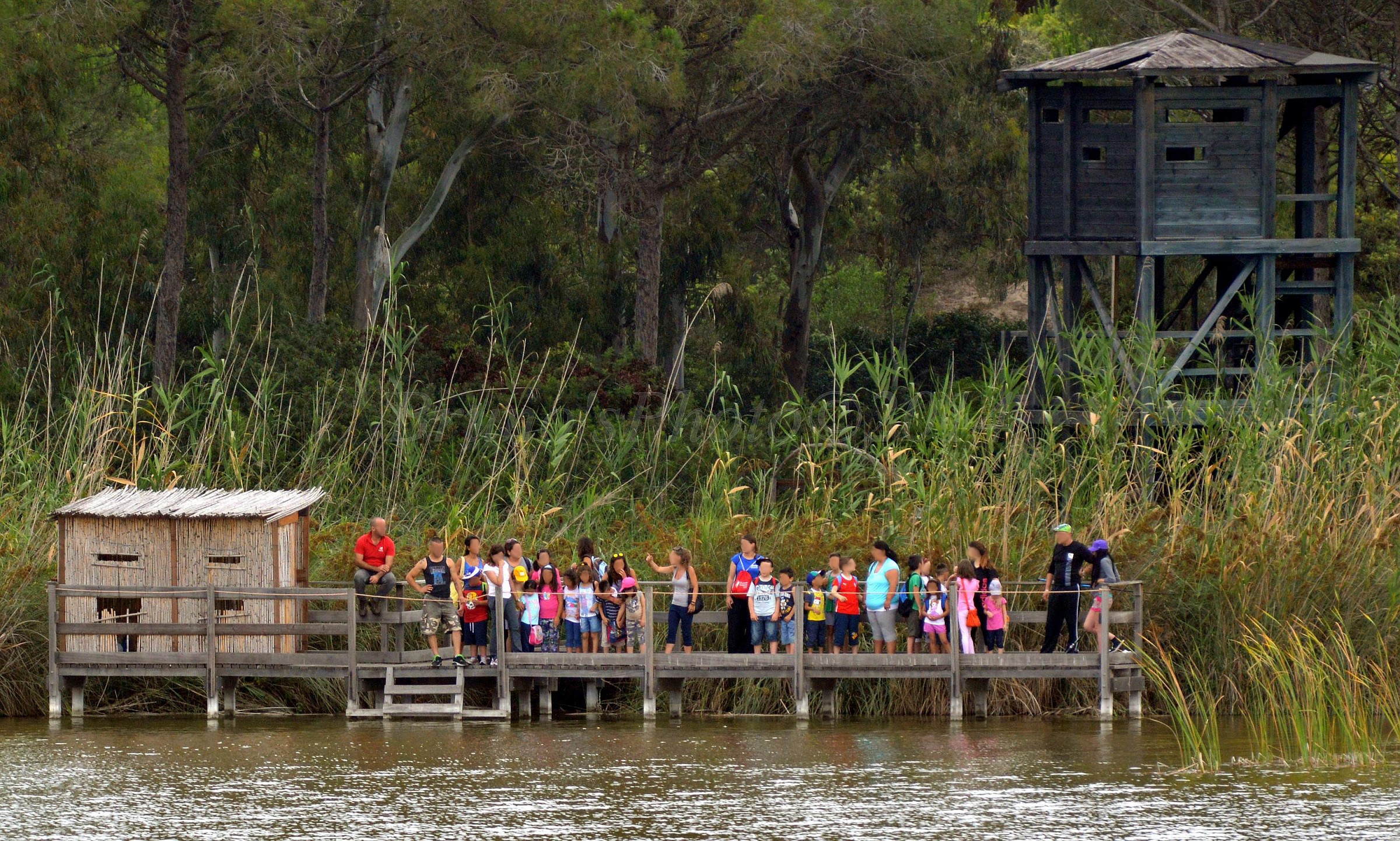 Pupils observe nature oasis protected