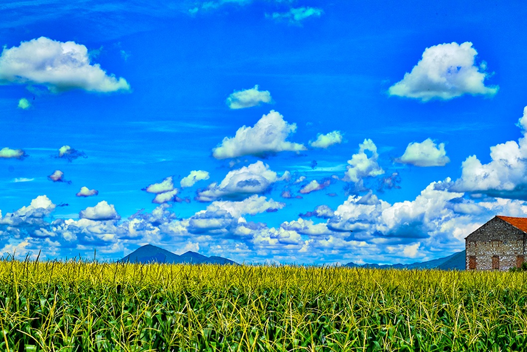 Nuvole e colli (Euganei) ...