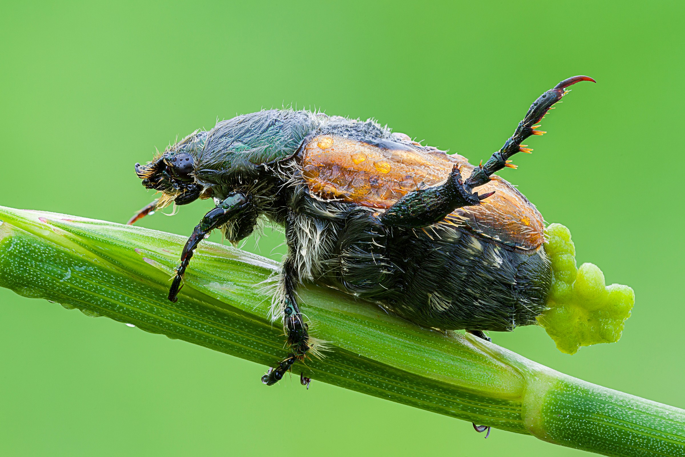 Salutate la macchina fotografica!