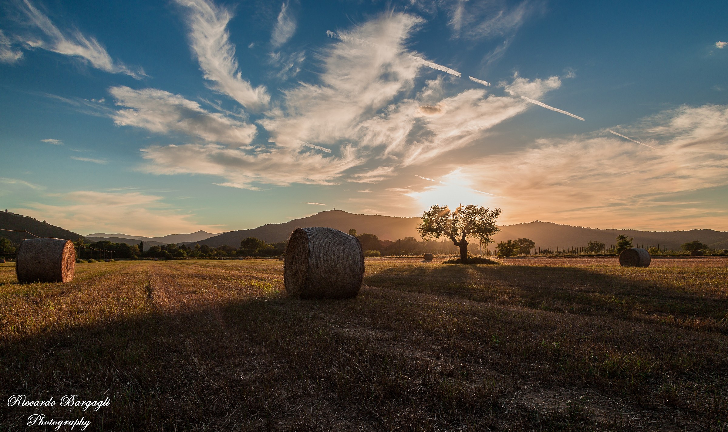 Sunset over the fields maremmani