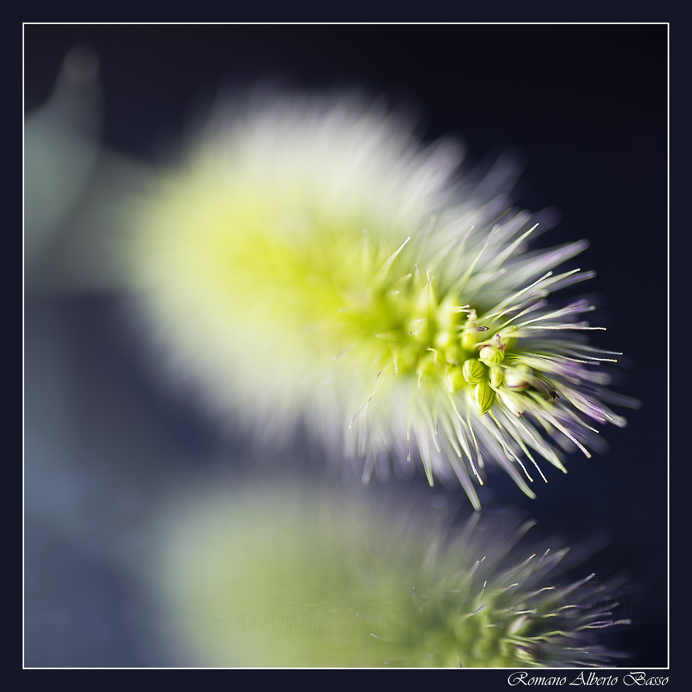 Specchio specchio delle mie brame...