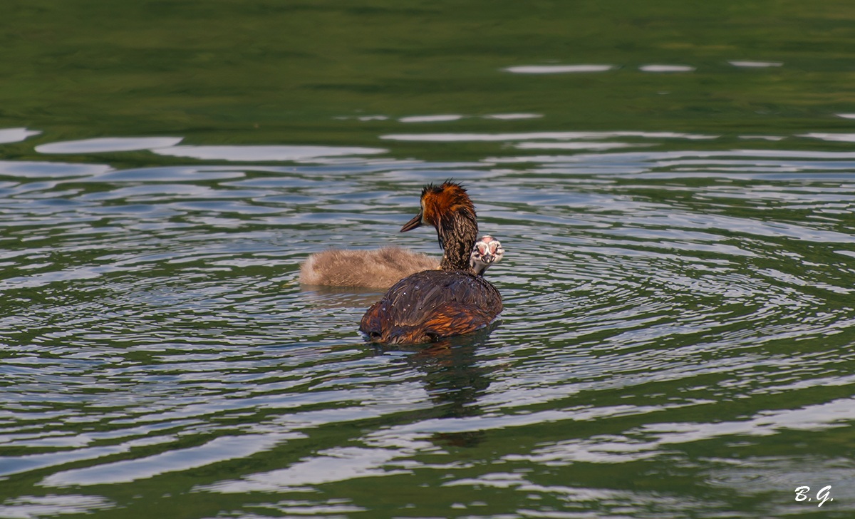 Si è accorto di me..