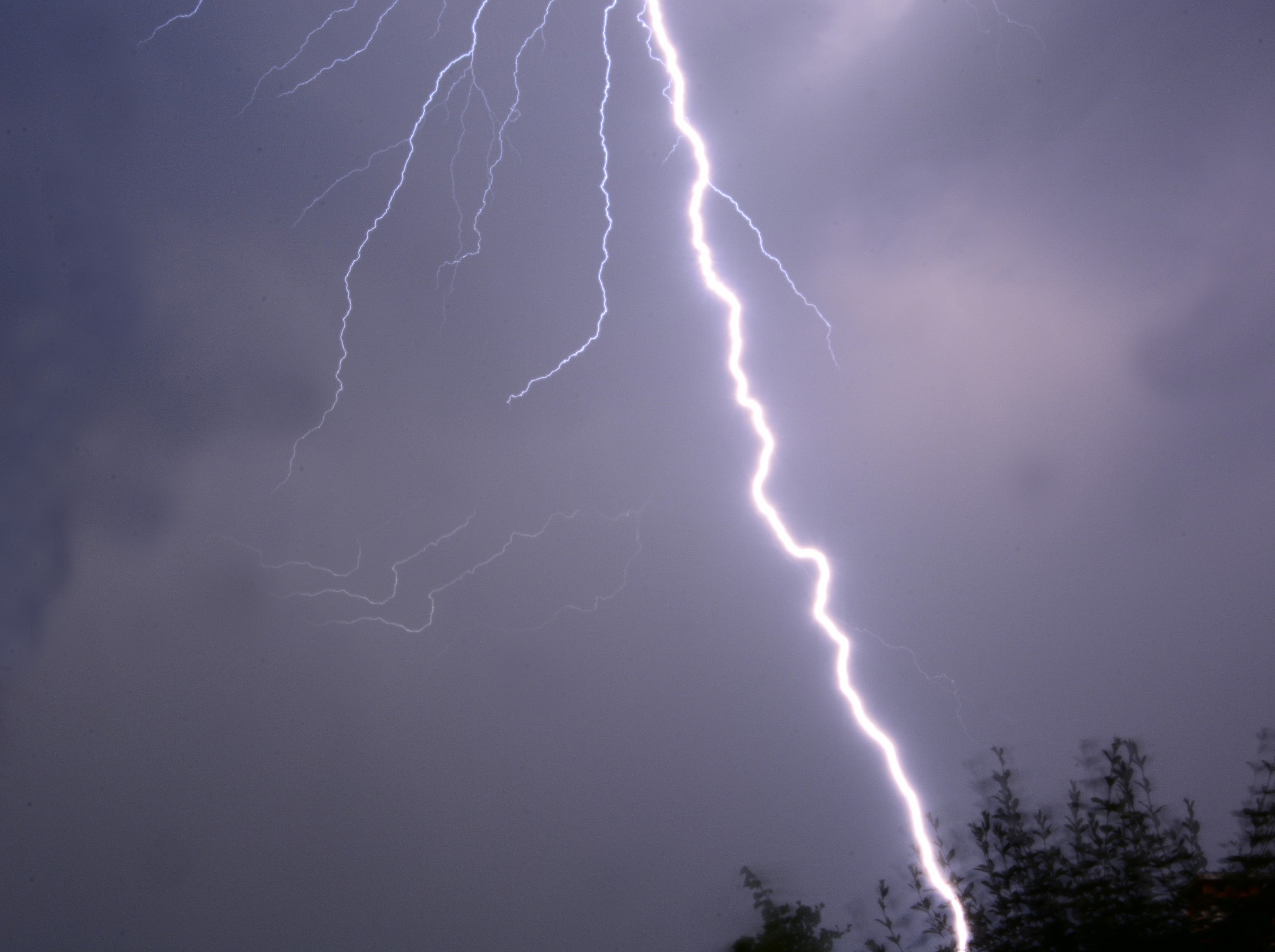 click rubaro to nature