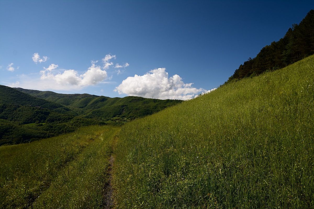 The green Val Baganza