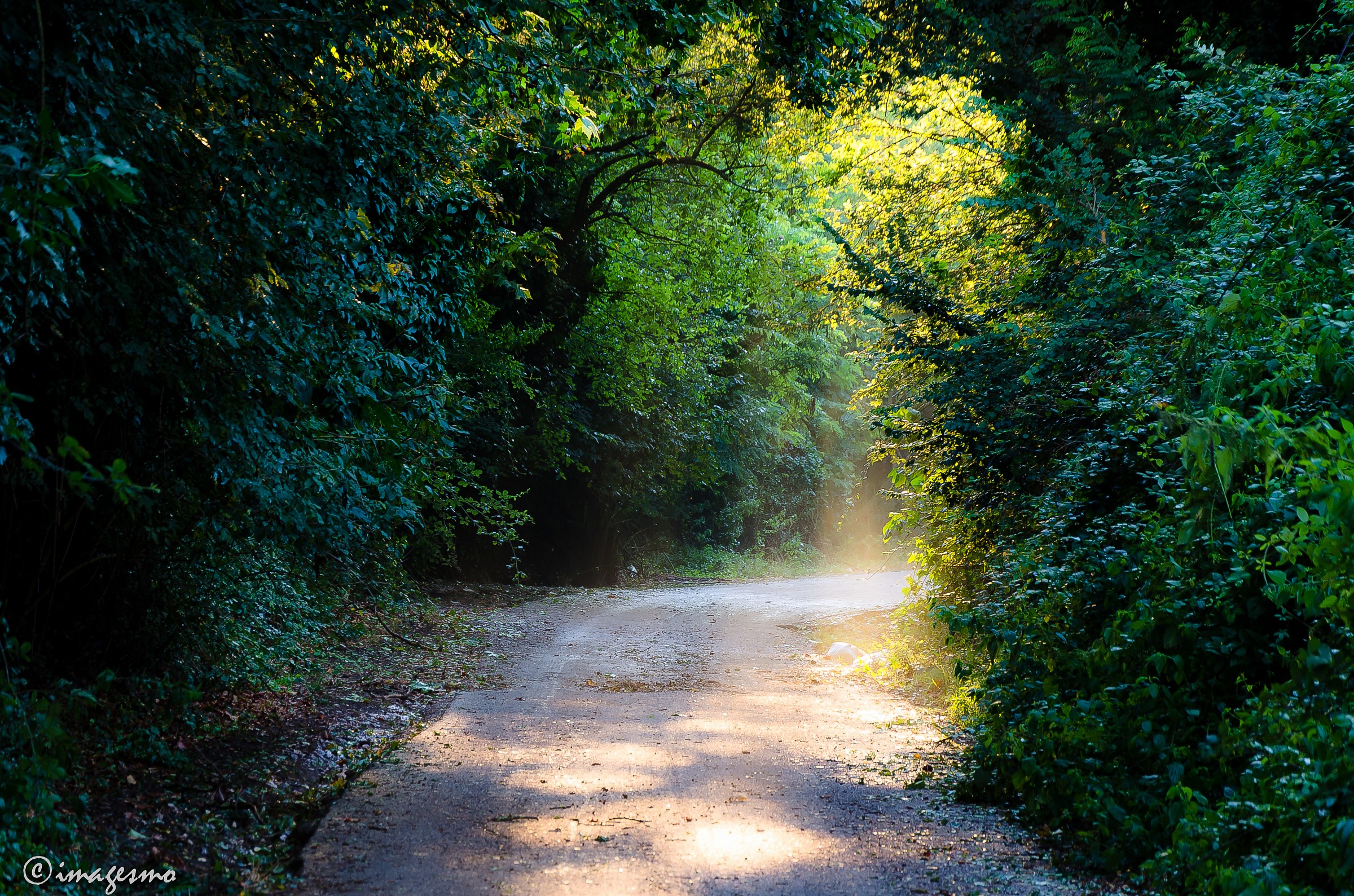 Grotta verde di luce