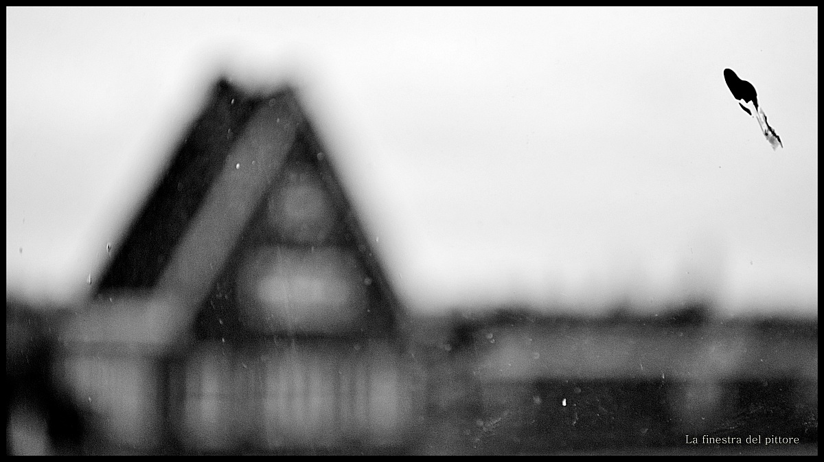 La finestra del pittore