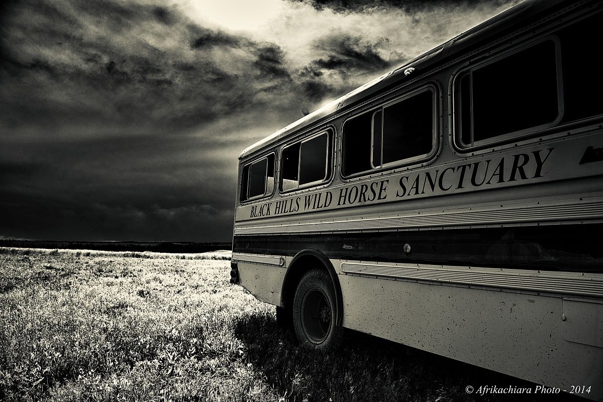 Black Hills Wild Horse Sanctuary
