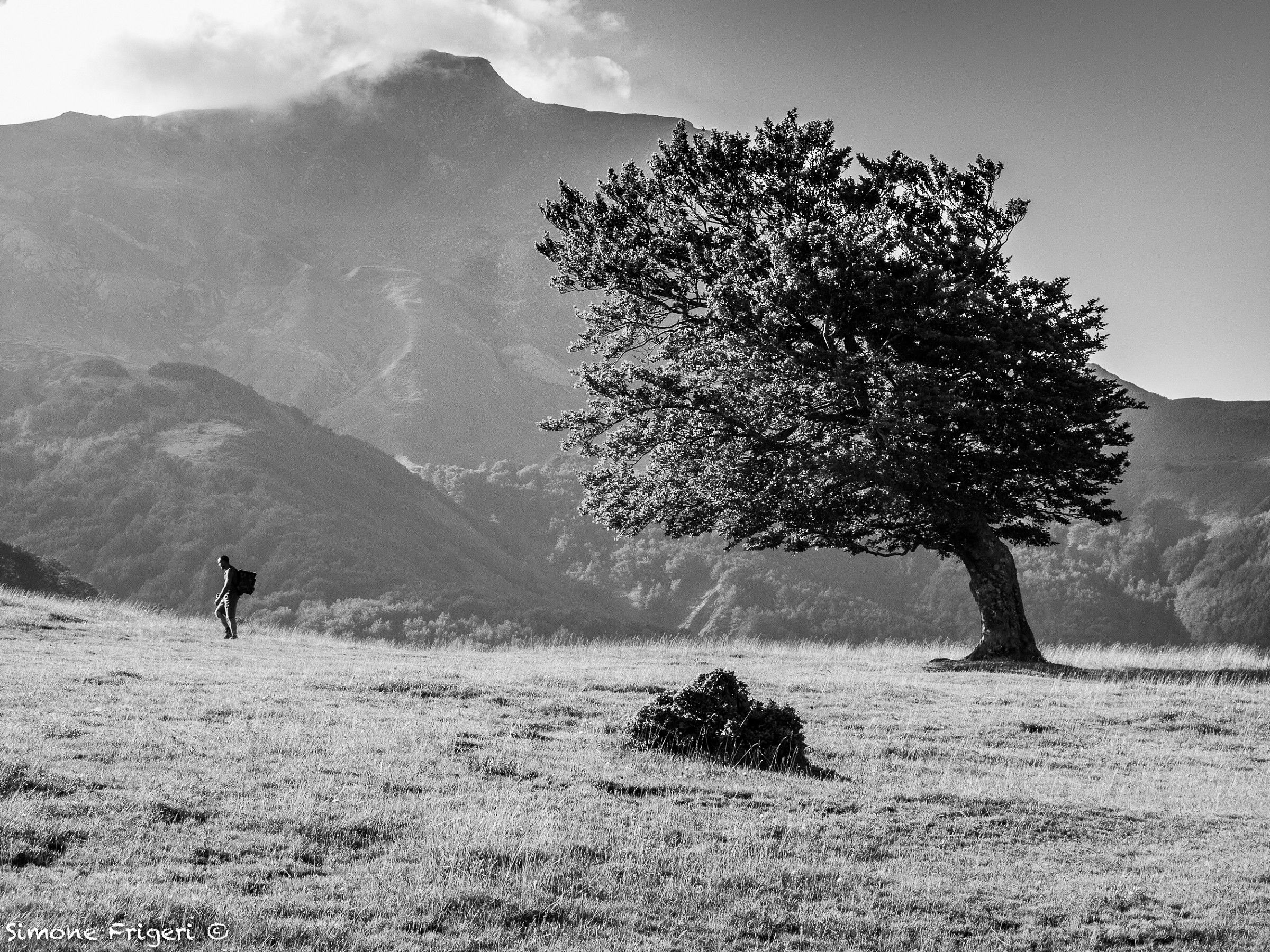 The answer is blowing in the wind