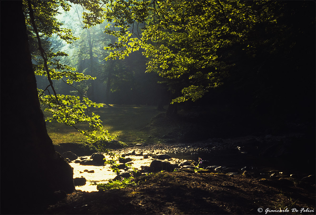 Through the Valley Fondillo