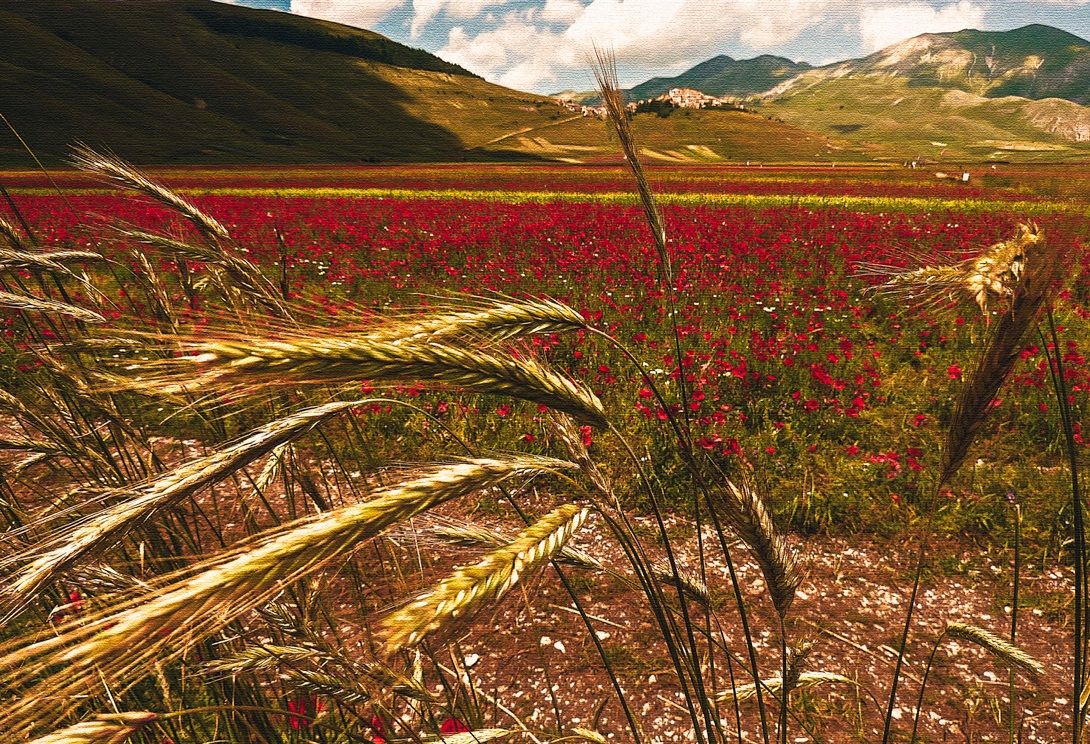 Castelluccio di Norcia