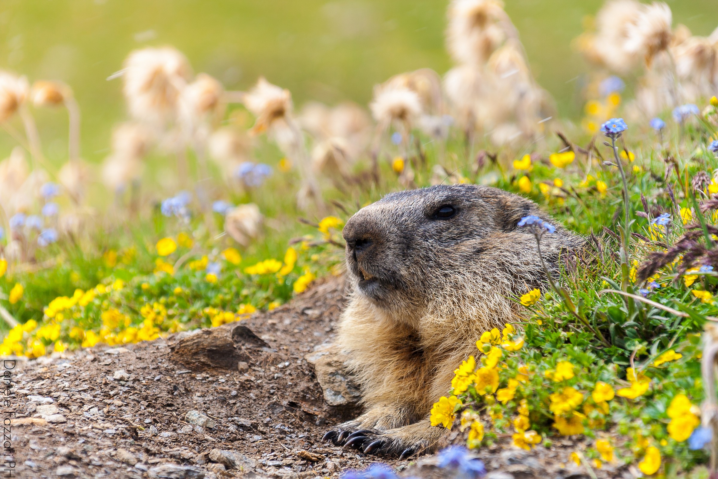 'And what the hell are you doing out of my lair?'