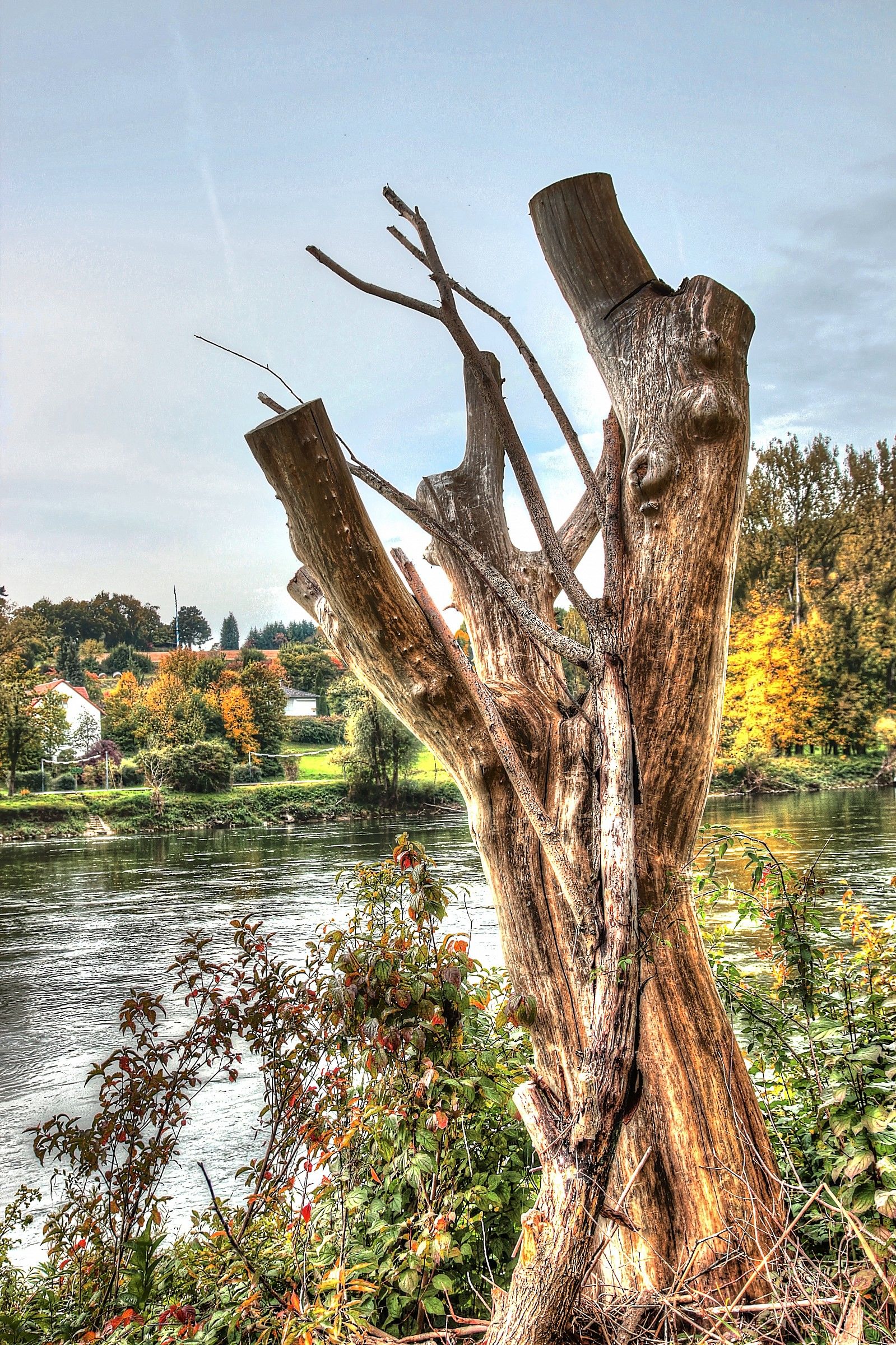 La sentinella del Danubio