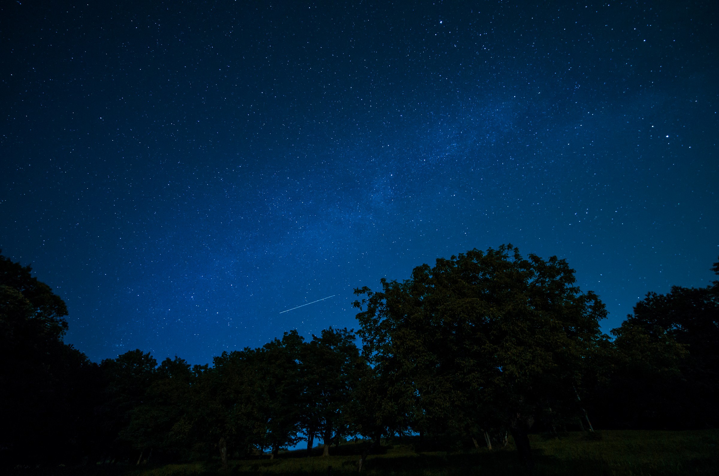 Try Samyang 10mm f/2.8