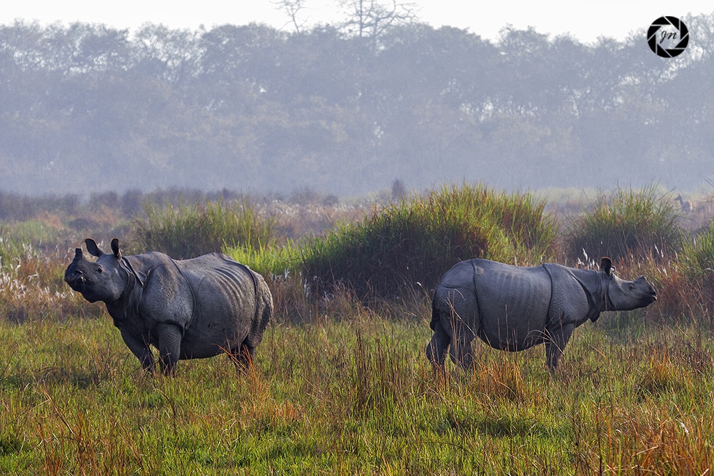 Non sto parlando con te ...