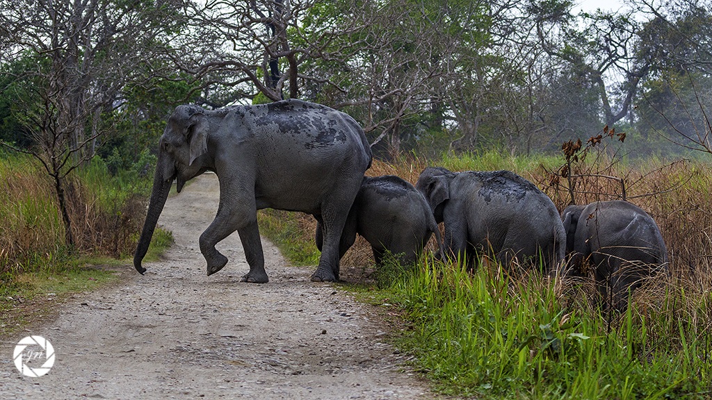 Tutto in una linea ....