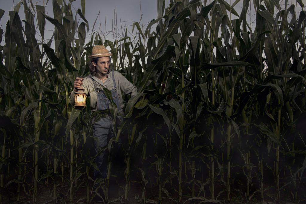 rumori nella sera...