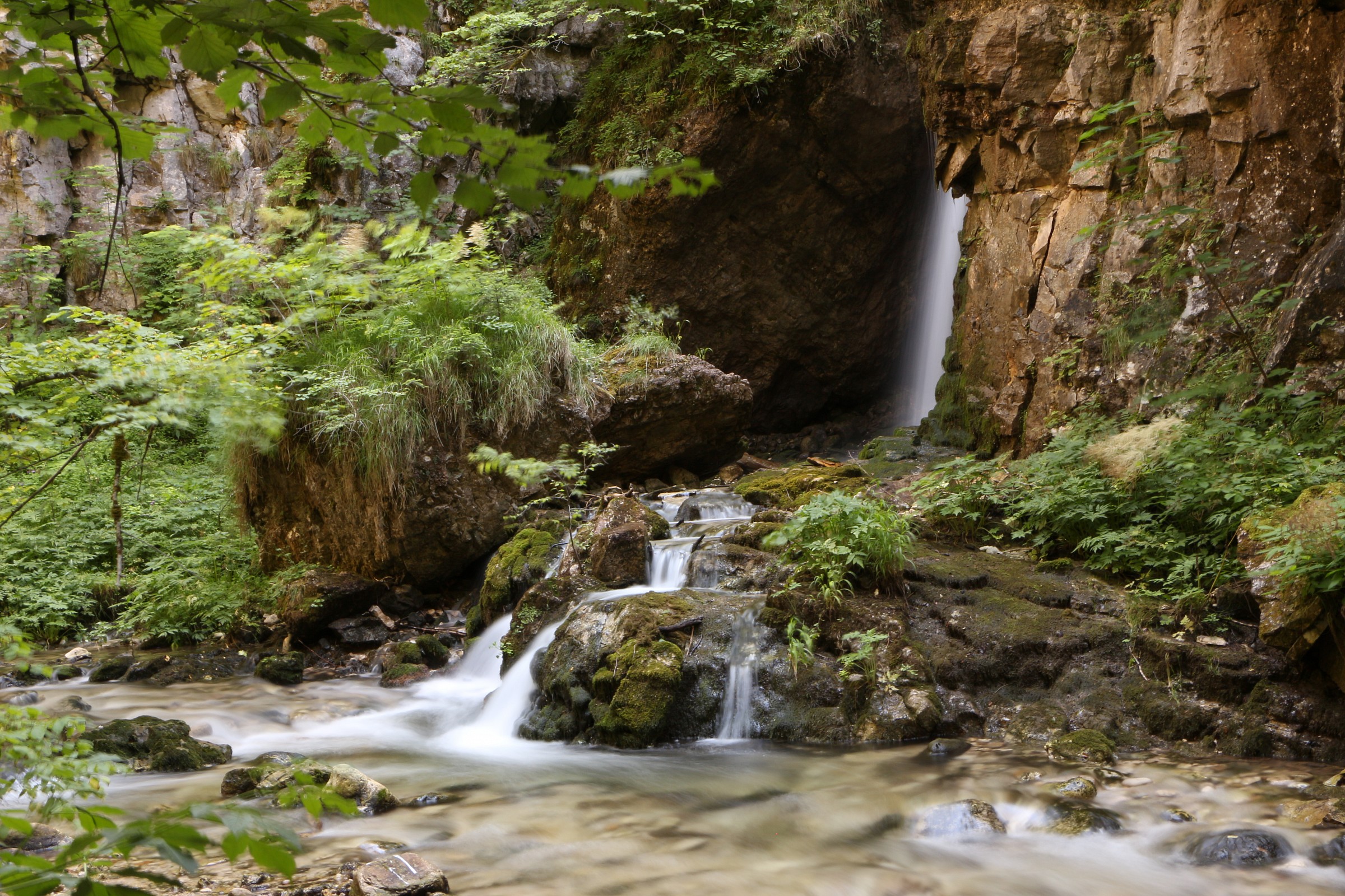 The cascade of dreams