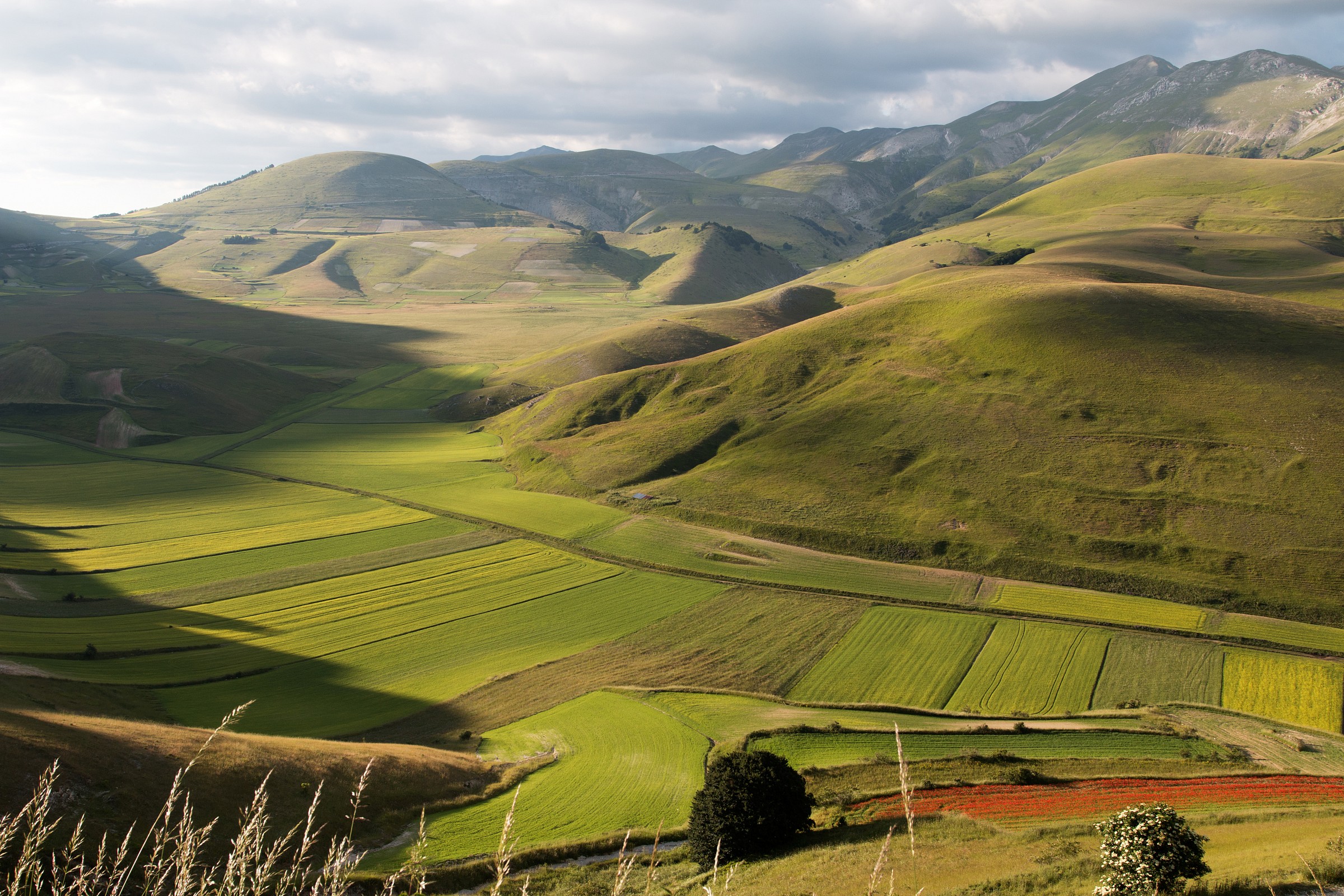 castelluccio