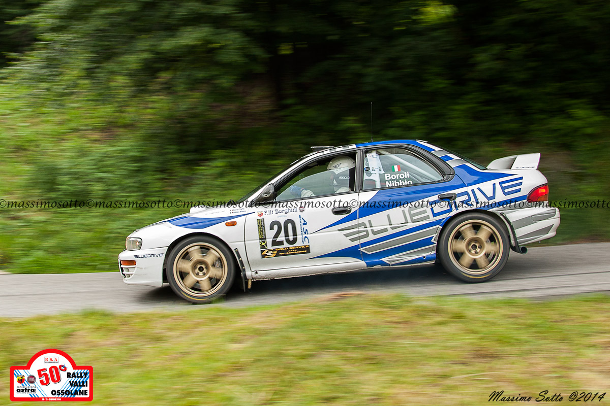 Rally Valli Ossolane 2014 2
