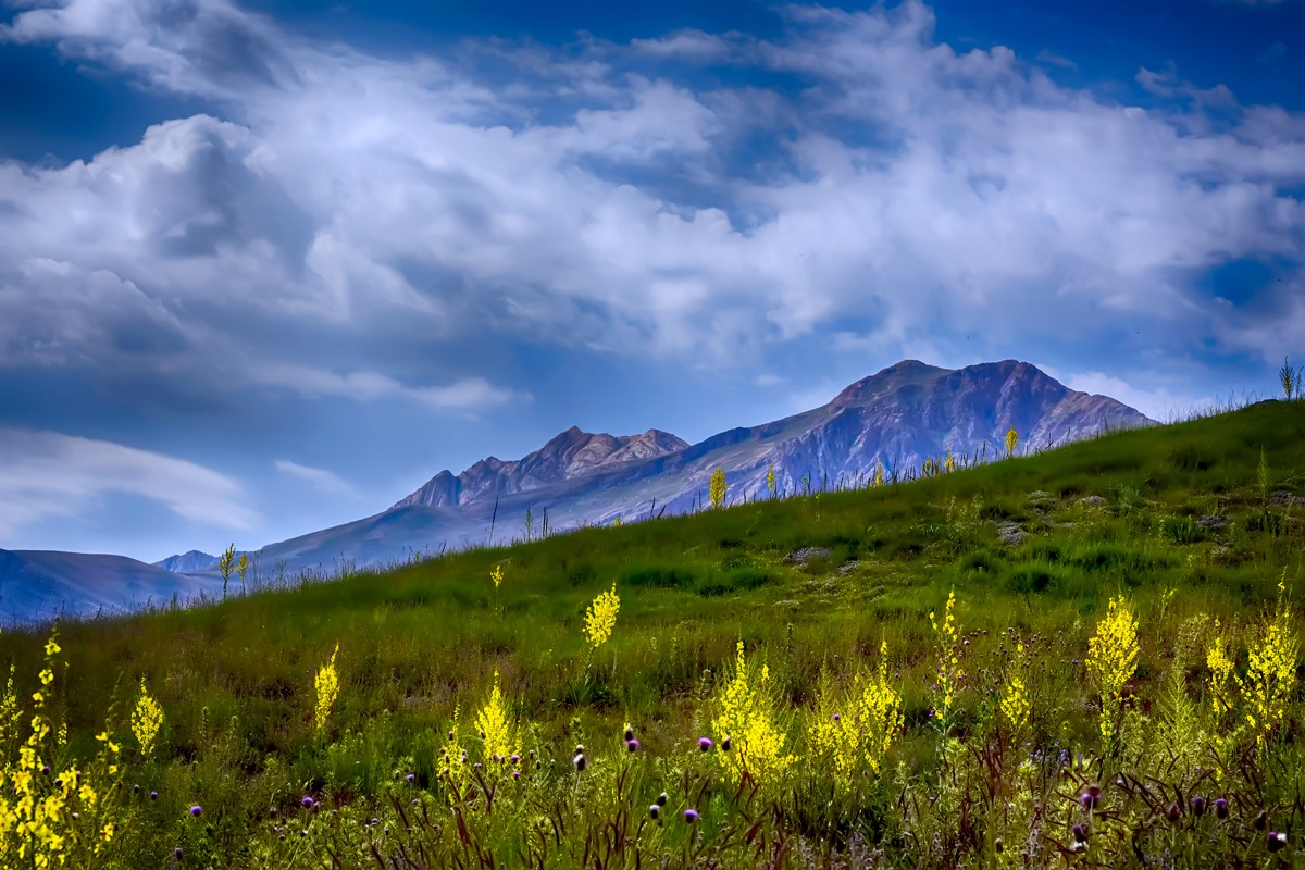 Parco Nazionale Lar - iran