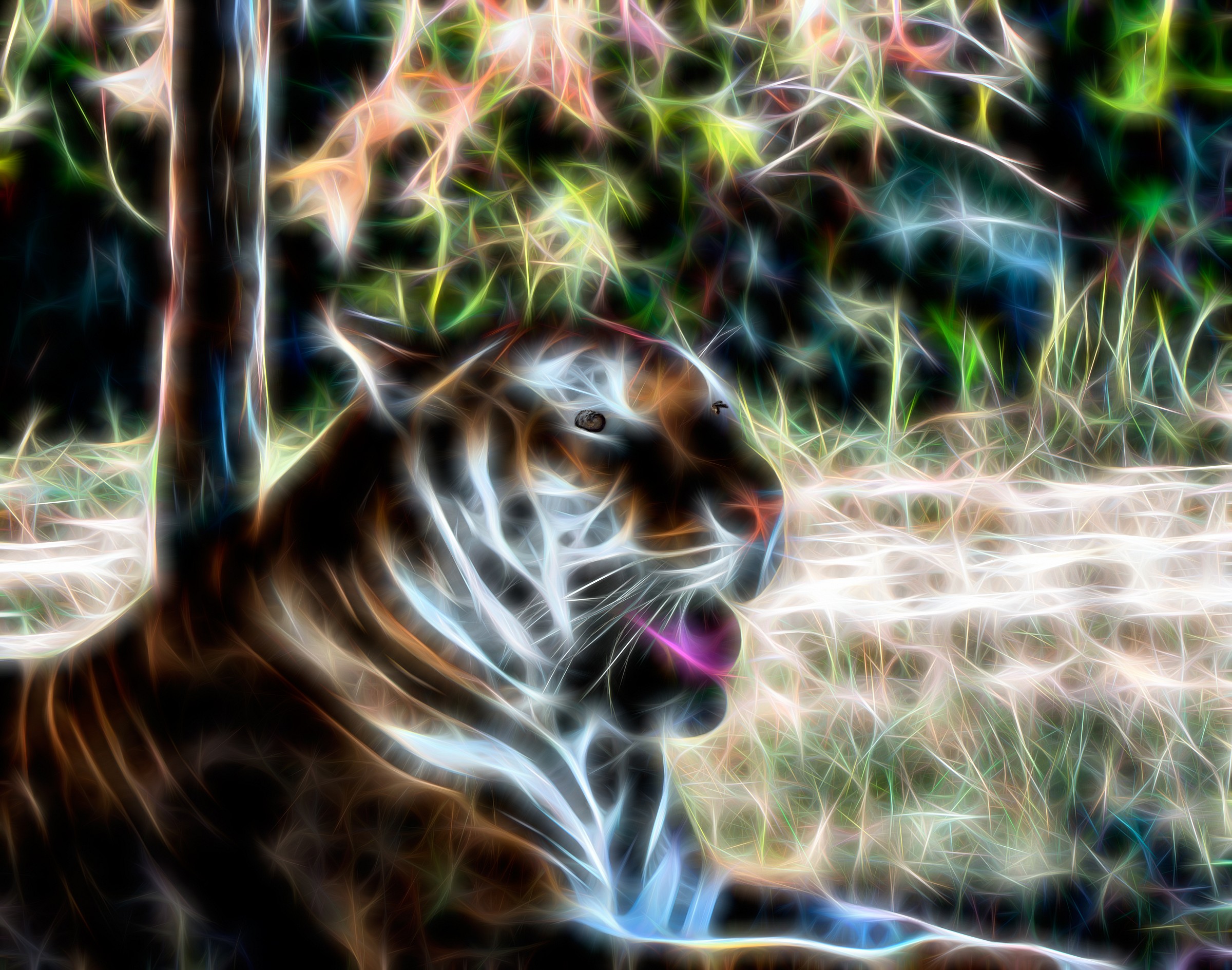 Tigre effetto art