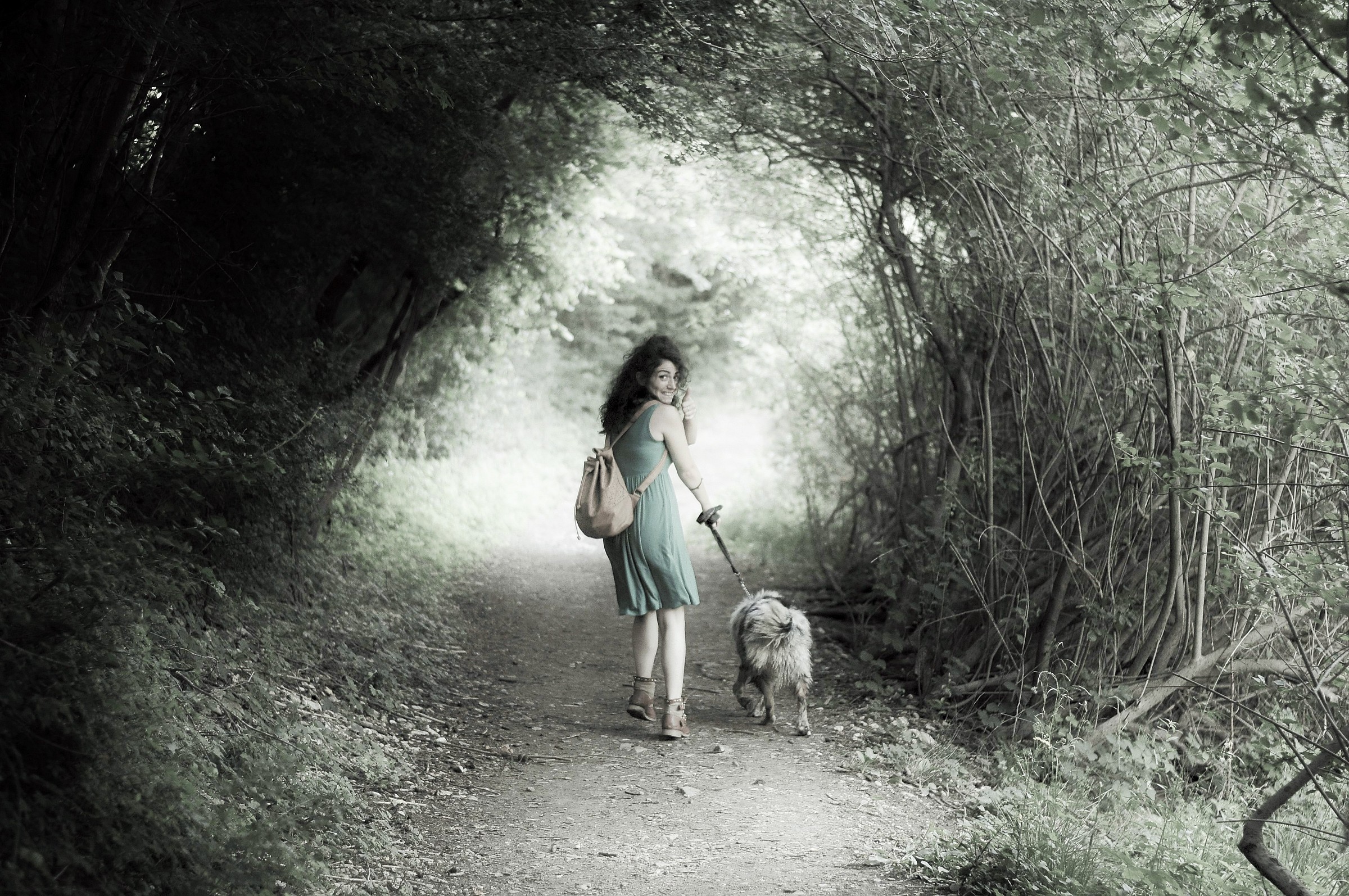 la bella che girandosi nel bosco s'inciampò