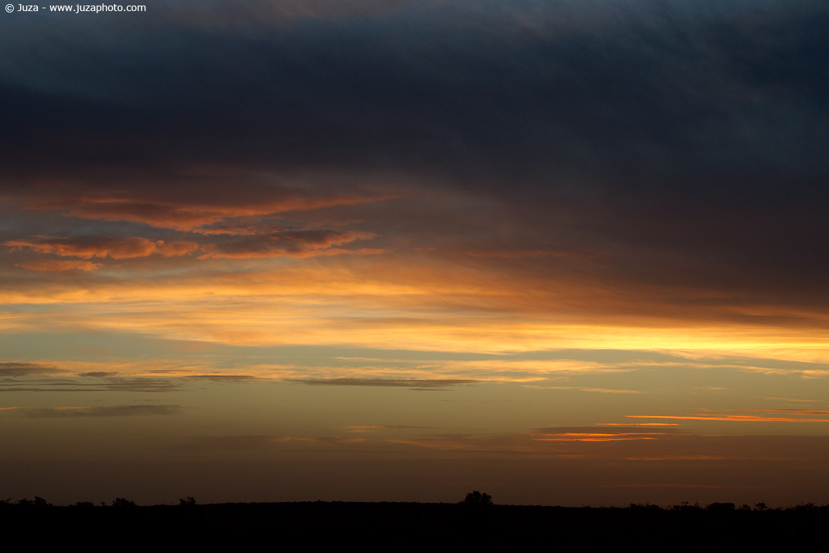 Tramonto a Valdes, 011895