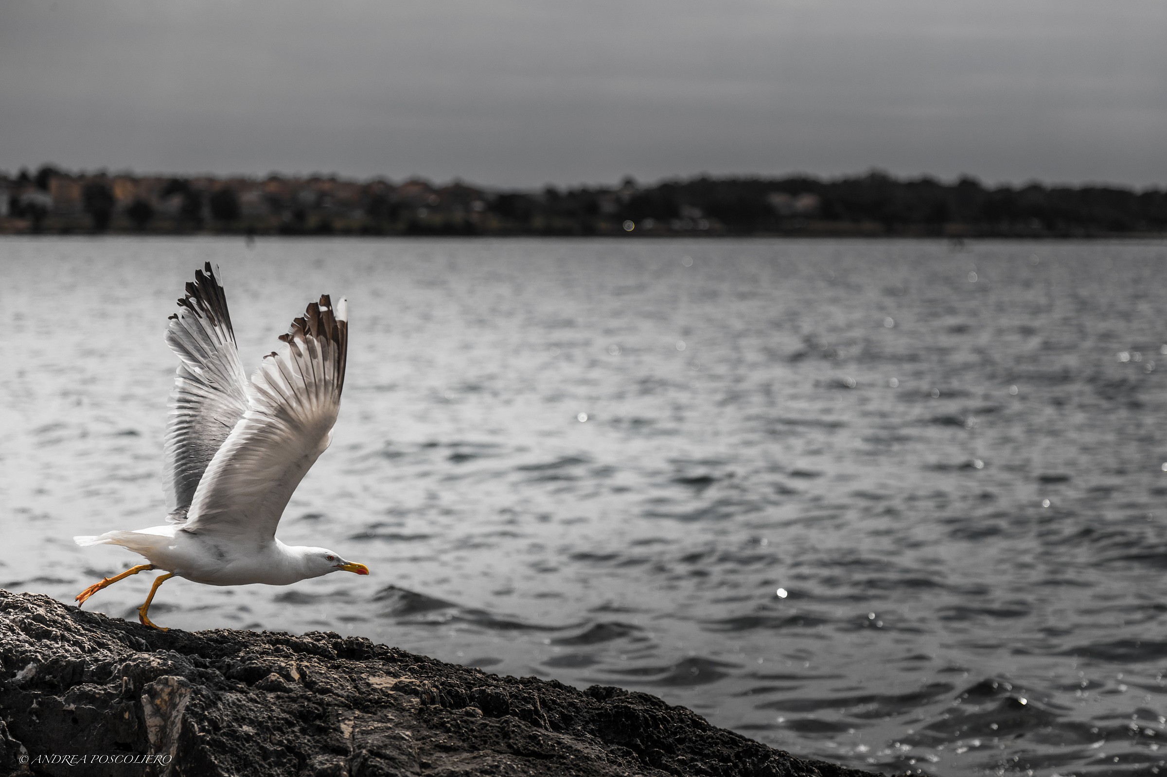 Fly only those who dare to do so ...