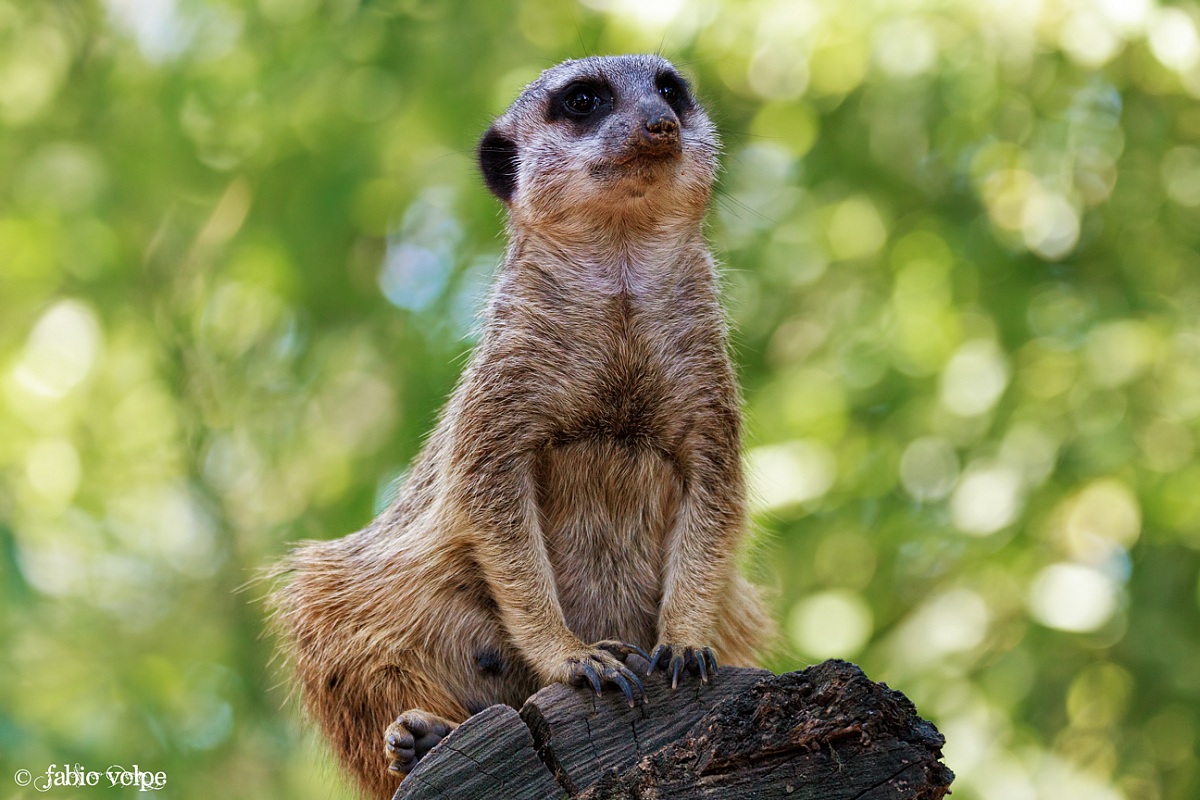 Lost in the 'infinite