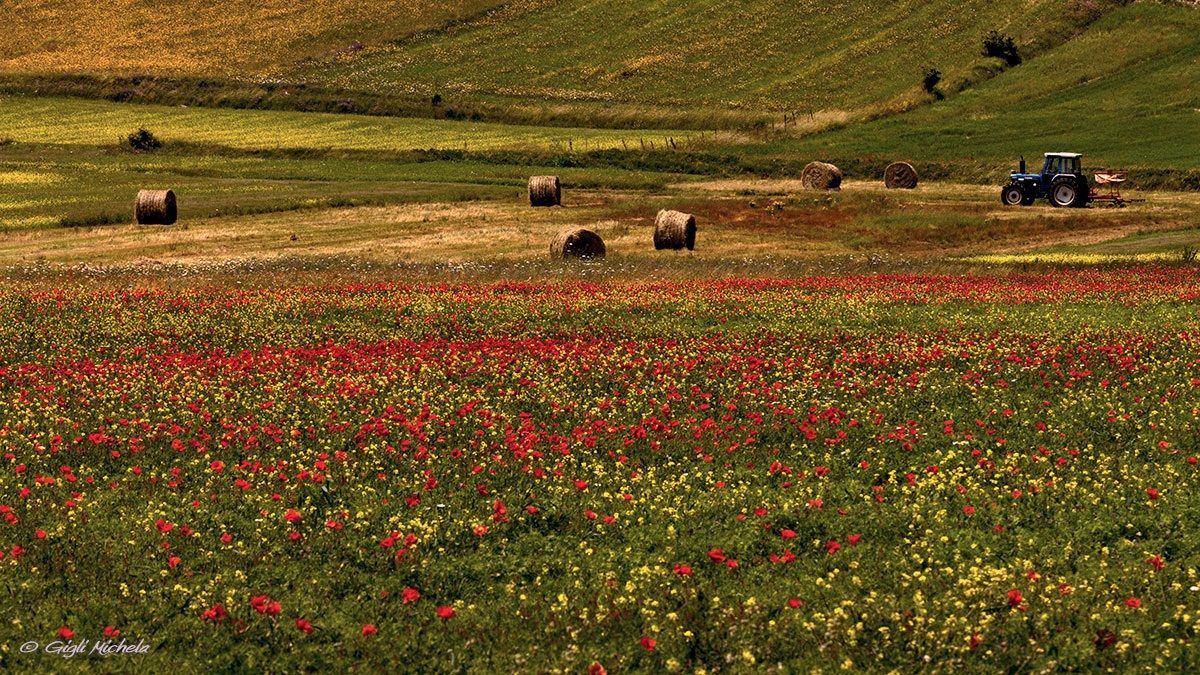 Work in progress to Castelluccio